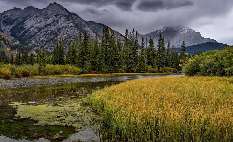 Banff National Park wilderness